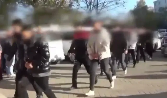 Ordu merkezli 3 ilde 'dolandırıcılık' operasyonu