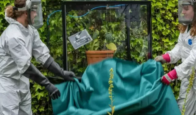 Dokunmak Yetiyor, Acısı Aylarca Sürüyor