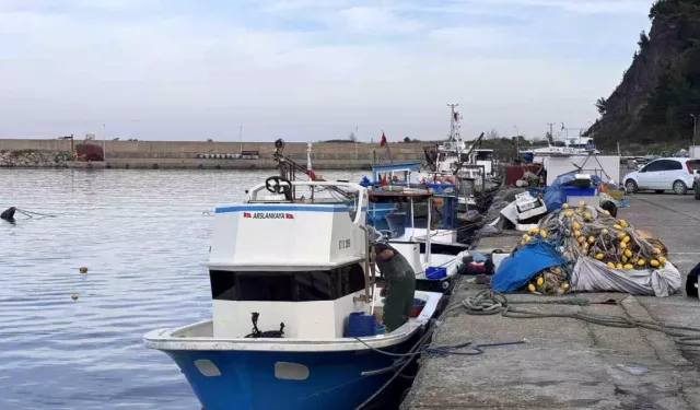 Zonguldak’ta Balıkçılık Alarm Veriyor: Sezon Zayıf Geçti