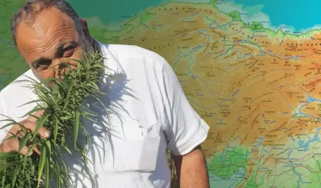 Resmi Gazete’de yayımlandı: 21 ilde kenevir üretimi