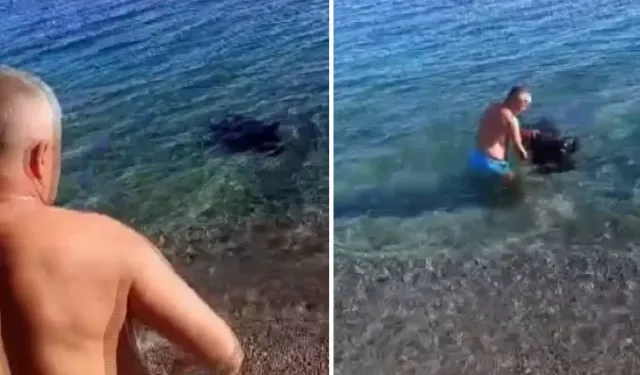 Konyaaltı Sahilinde Balık Tutanları Şoke Eden Olay