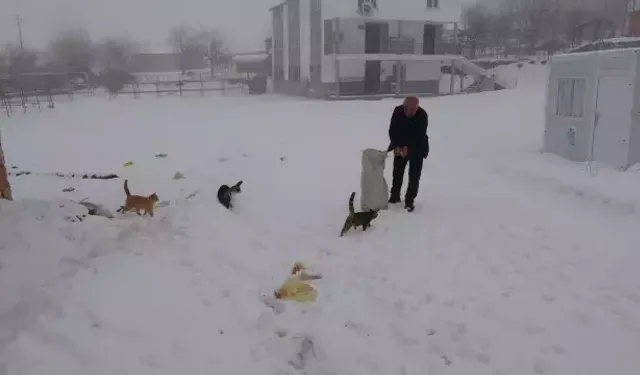 Adıyaman’daki Köyde Kışın Sadece Muhtar Yaşıyor