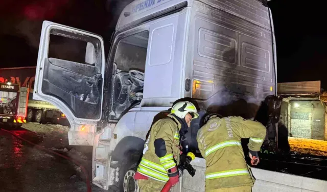 Cizre’de Seyir Halindeki TIR Alevlere Teslim Oldu