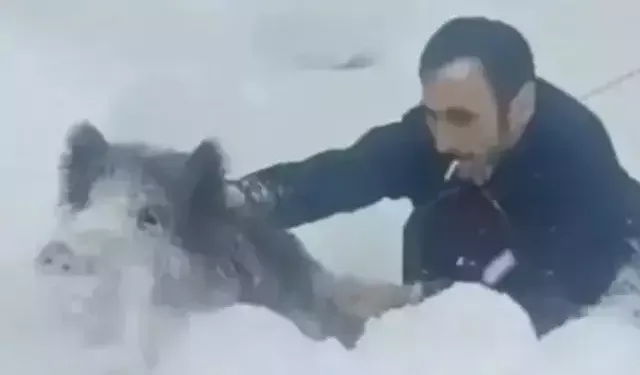 Eliyle Domuz Yakalayan Vatandaşın Cezası İptal Edildi