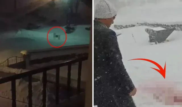 Sivas Altınyayla’da Kurtlar Köye İndi