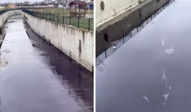 Kapaklı'da Karaağaç Deresi Kimyasal Atıklarla Siyah Aktı