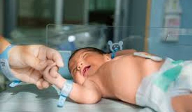 Türkiye’de 2025 Yılında 889 Bin 598 Bebek Dünyaya Geldi