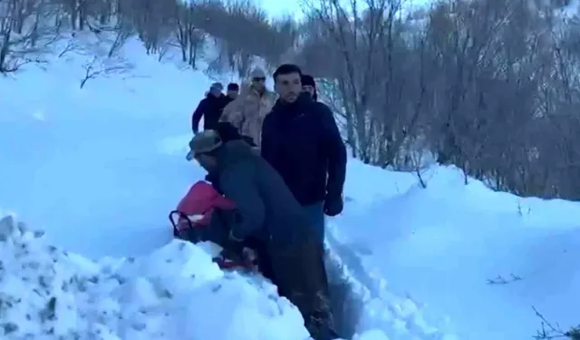 Avrupa Hayali Ölümle Bitti Donarak Can Verdi