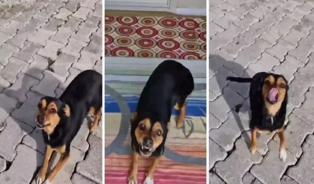 Konteyner Kentte Başlayan Dostluk Milyonlara Ulaştı