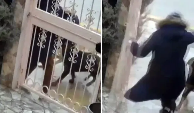 Elmadağ’da Sahipsiz Köpek Saldırısı Kameraya Yansıdı