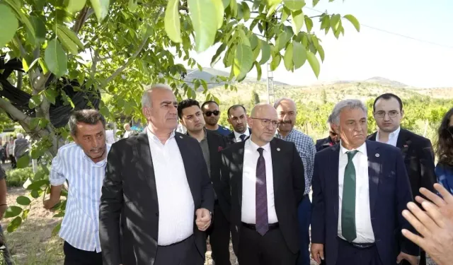 Trabzon Hurması, Dut ve incire Destek Ödemesi Başladı