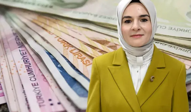 Ulusal Vefa Programına 2026’da 5,1 Milyar Lira