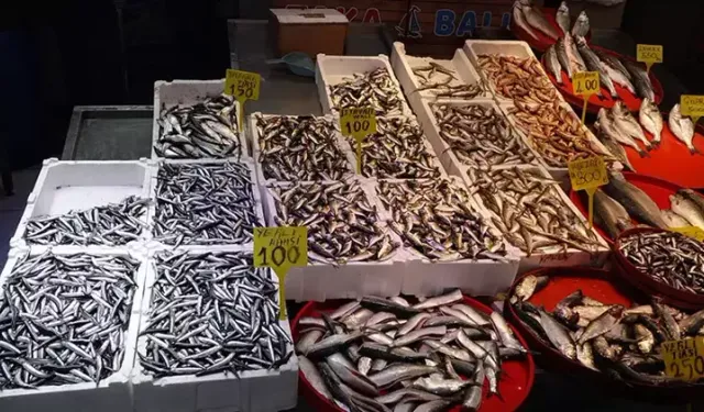 Trabzon’da Balık Tezgâhları Dolu, İstavrit Öne Çıkıyor