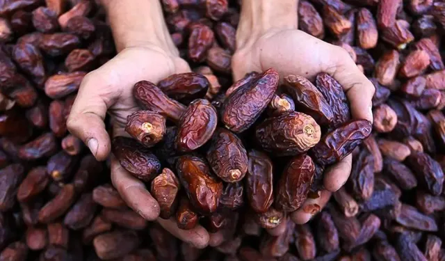 Uzmanlardan Hurma Uyarısı Aflatoksin Riski