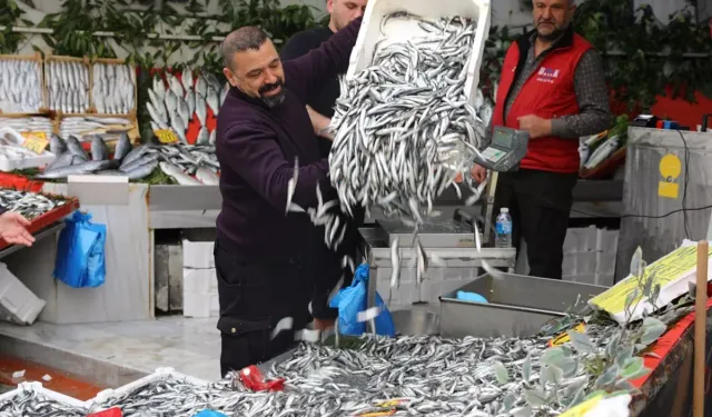 Edirne’de Hamsi 50 Liraya Düştü