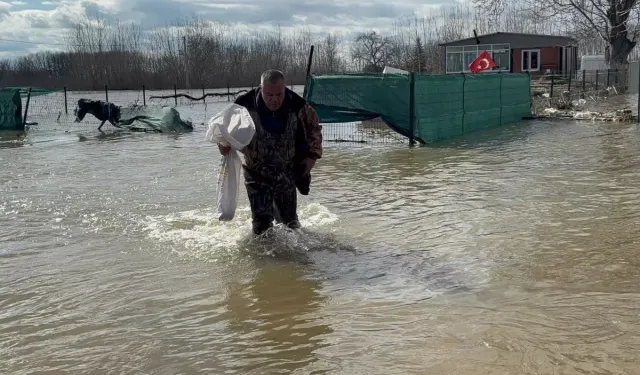 Edirne’de Meriç Taştı Tarlada Sazan Çıktı