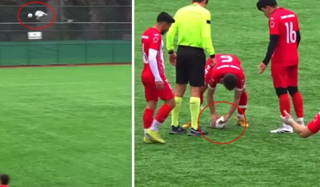 Amatör Maçta  Top Çarpan Martıya Kalp Masajı Yapıldı