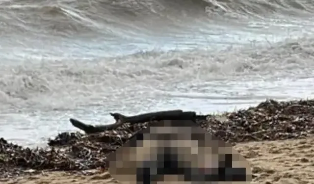 Sarımsaklı Sahilinde Cansız Kadın Bedeni Bulundu