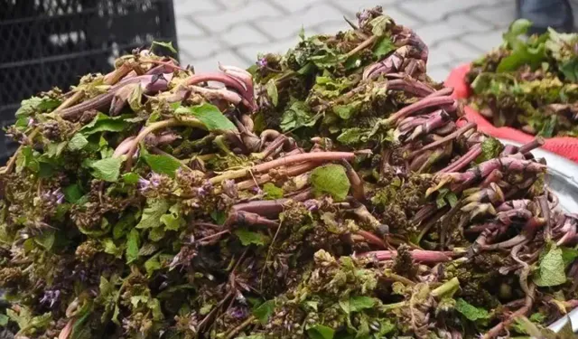 Faydaları Saymakla Bitmiyor Şifa Dağıtan Bitki