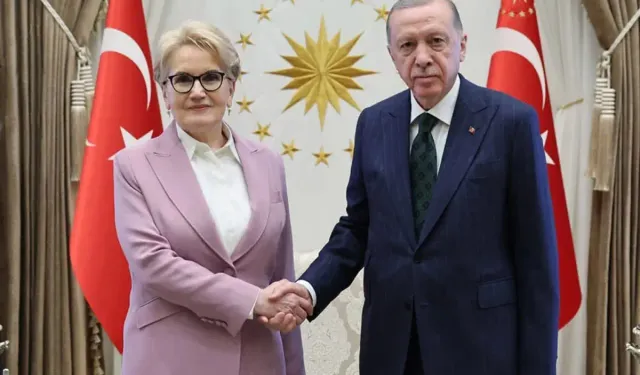 Meral Akşener Siyasete Dönmeyecek