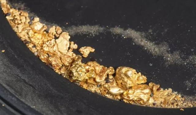 Tüm Dünya'ya Yetecek Altın Keşfedildi