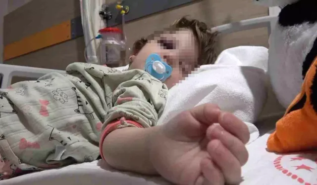 Çınarcık’ta Gürültü Tartışması Kanlı Bitti