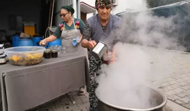 Ayvalık’ta Kozalak Şurubu Mesaisi