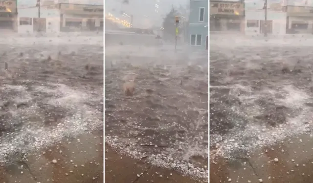 Illinois’te Dev Dolu Yağışı Büyük Hasara Yol Açtı