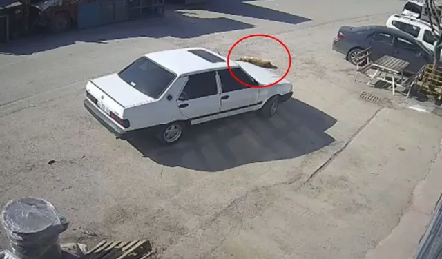 Bolu’da Köpeği Sürükleyen Sürücü Gözaltına Alındı