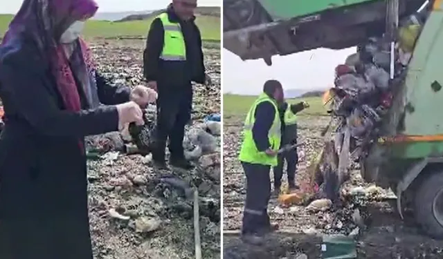 Lahana Poşetindeki Altınlar Çöpten Çıktı