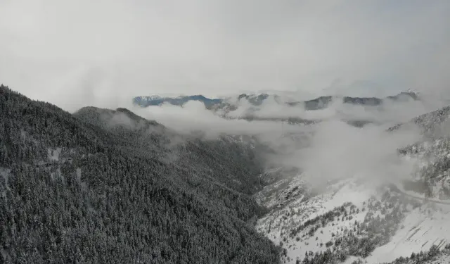 Zigana Dağı Eteklerinde Bahar Açtı Zirveler Beyaz