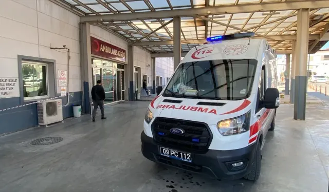 Erkek Arkadaşı Tarafından Bıçaklanan Kadın Hayatını Kaybetti