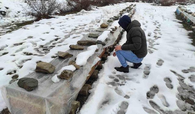 Batmanlı Arıcı Şampiyon Arılarını Soğuktan Koruyor