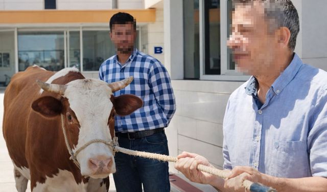 İş Vaadiyle Parasını Verdi Mağdur Oldu