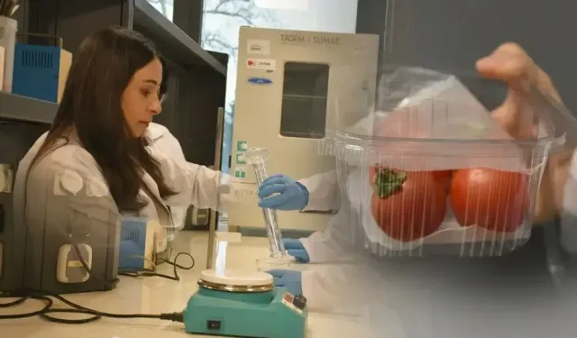 Trabzon’da Geliştirilen Ambalaj Gıdayı 15 Gün Koruyor