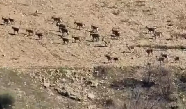 El Sürmenin Cezası 940 Bin Lira