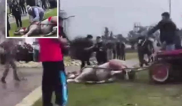 Adana’da Ata Şiddet Tepki Çekti