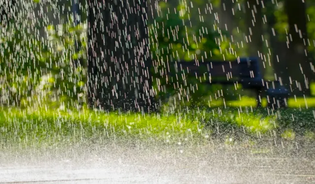 Karadeniz’de Hava Durumu Açıklandı Trabzon Detaylı
