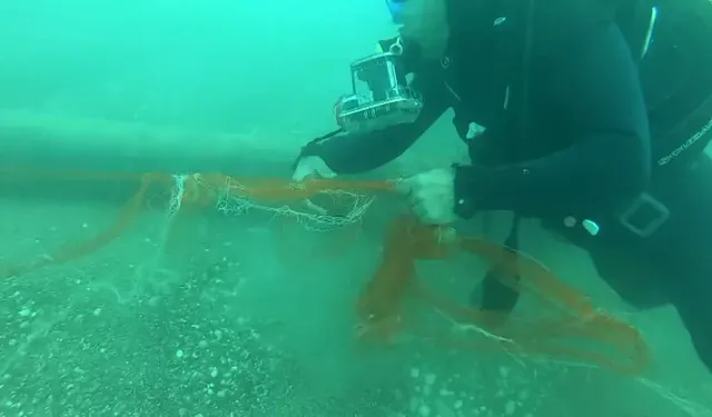 Hayalet Ağlar Temizlendi 1,5 Milyon Canlı Kurtarıldı