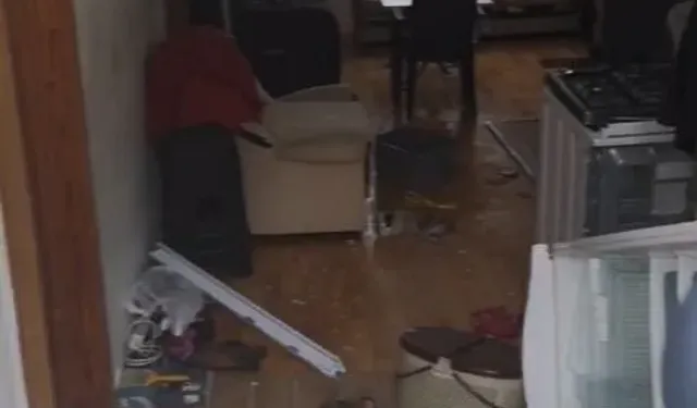 Trabzon’da Aç Kalan Ayılar Yayla Evine Girdi