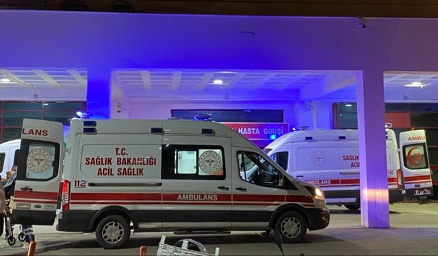 Gümüşhane’de Elektrik Akımı Can Aldı
