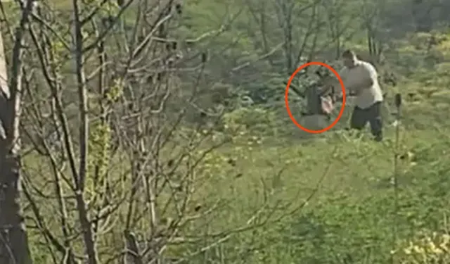 Avcılar’da Köpeğe Şiddet Uygulayan Şahıs Yakalandı