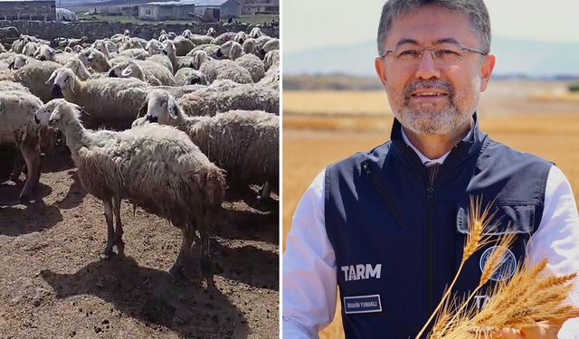 Kars’ta Mera Yasağı Hayvanları Strese Soktu