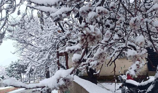 Yozgat’ta Kar Yağışı Üreticiyi Endişelendirdi