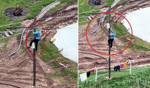 Diyarbakır’da Kaçak Elektrik Denetiminde İlginç Anlar