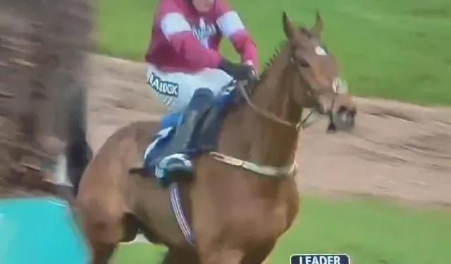 İngiltere’de Yarışı Kazanan At Hayatını Kaybetti
