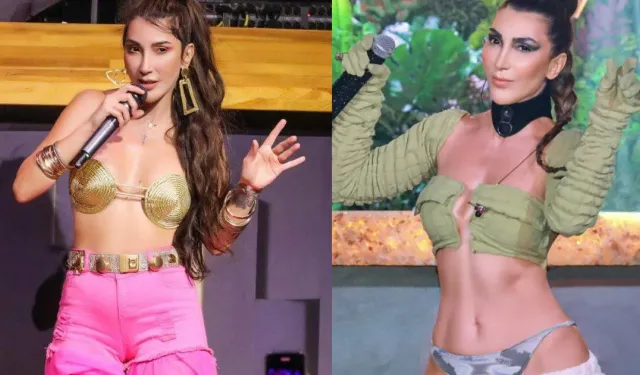 Hande Yener Sahnede Ödülünü Düşürdü