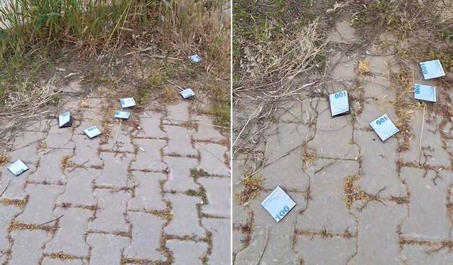 Parkta Bulduğu Paralar Reklam Çıkınca Şaşırdı