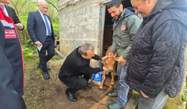 Trabzonda Suni Tohumlama Projesi Sonuç Verdi