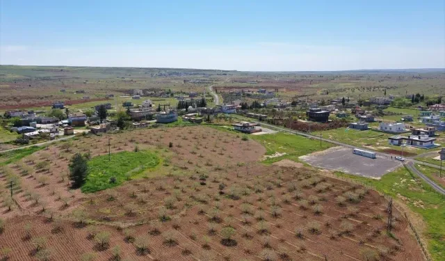 Taş Tepeler Projesi Uluslararası Boyuta Taşındı